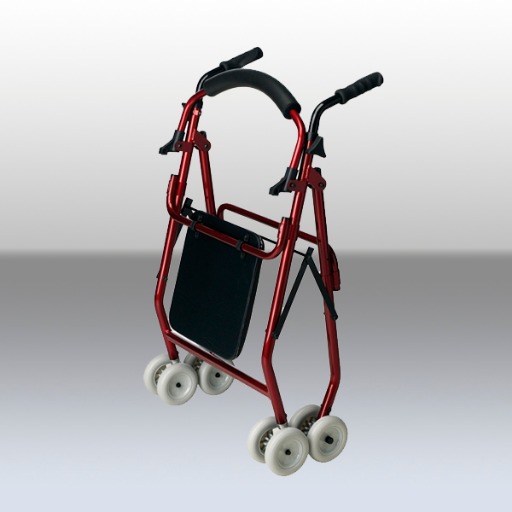 Ayuda | Deambulación