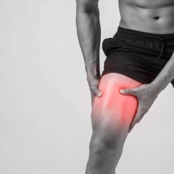 Huesos & Articulaciones